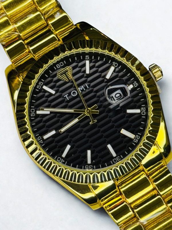 stainless steel luxury watch